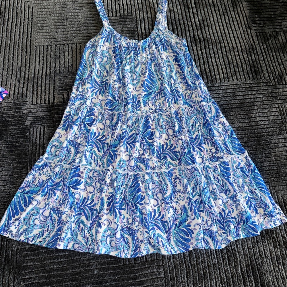 Lilly Pulitzer Blue and White Floral Dress